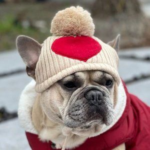 Knit Dog Hat with Ear Holes